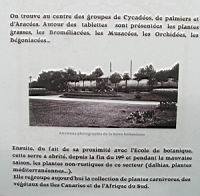 08 - La serre hollandaise - La premiere construite au Jardin Botanique (2).jpg